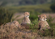 2019-09-02/ec0104461546fad2343e295eac83c9c1_10080a292574e8637a729dd325e5b0d1