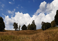 2019-09-03/1b640531568919b002a7b82466a27d93_cedf34c2d73dae6c1efd317ca010470d