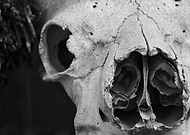 2019-09-03/221b5465fa2ea0dc1d9c3cd75437c310_52f92297c4eba09f90292933f7ade4dd