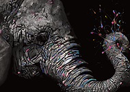 2019-09-03/8a44370c76a52ef6cebe868d5db5760c_9eb2908ba7b13ede66ca7d293938b914