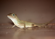 2019-09-03/f8e040aafd3edf22b0bf40fd8d40eea8_5554a2ba5cc113e2dd73def0e15be1d1