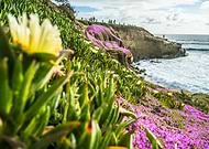 2019-09-04/077f812f0764b17970ba40e2dbadade6_271bcb3e7358107486ebf28ad21af164