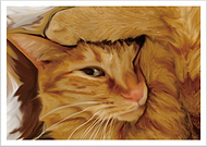 2019-09-04/80d351f581ad4fcaeb2cc39c5543ec5e_acc77fe1688199569e35d2396bfdd1fa