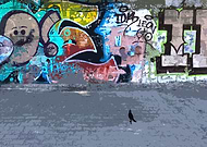 2019-09-04/d2b48b17676b07b1c9ba19d5620763a5_867fe6c681474f505ff4695f9fdb987a