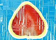 2019-09-05/480b1e1775f11a41af12cb0459d12ec5_6f711d09f829c9f3ece00a94695c3160