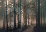 2019-09-05/e6a0efaa3d945cd30ec95996fd5b5569_7c28fde4e437990d7d836266634cfebf