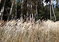 2019-09-06/e359e259745fb82b69a88fe3a38152e7_11969db4ad63d0a5d671c8794111146c