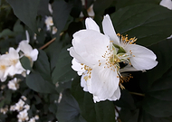 2019-09-07/43066117eeb8e925fc27db53a0406ac5_4e3258c75ee8c9e5b842683455a78139