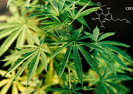 2019-09-08/efbfa74320acada9b96d2f0abc15f255_1707234a17b2d19436b3ddf2b12b6c82