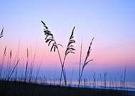 2019-09-08/efc8d7b2148260322e4bf313ecbb6edf_e17a1d7e9cf941bba7a02b30b1987366