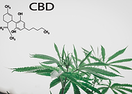 2019-09-08/f2f9f4ec18c51c4d018978dd81038180_aee8803fe88de1775b6e0a70879c74bd