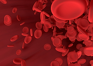 2019-09-09/280127399e262a62fd52cb88d3db33d8_ca04d42c58359183b18b412a8d11d2b1