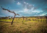 2019-09-09/7e0143b54648374c76c8e34679a730d9_e5024d1f9927ffa16d458a6e3410eca8