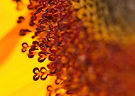 2019-09-09/98611290f643d0d4e50723e07695bd56_092f1256e50b21ae9750e564b7896020