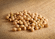 2019-09-09/e6718499a7e6f0670ad7677505d2595c_b47293aa2f62ec87ea89e41f29fa3878