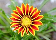 2019-09-10/c4bb2fdab0867ae3c06efc4a1ab34341_1d8c8f368b779f884231aef82f5701c4