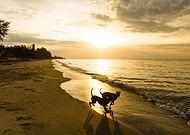 2019-09-10/f89906b5cde5bc16e97bdfef2da751a9_63e95aa49993fee8f2ef5fa1a133bfa2