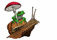 2019-09-11/b8cbcf0cf594b2ecb27fd69c1ba785d3_2025ccce298fda155c99fff9f21ff116