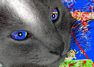 2019-09-11/ca7c4b4e9c91cfdc01100860283294a8_2ac609b25538580f27276e508659471f