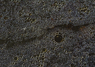 2019-09-12/7f65389ec8b243ce5ceb0cdea3e79cee_a9fe87607536f0e64071c56412d85ea7