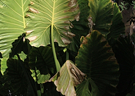 2019-09-12/853e78e098a816965144b3257bcdb29c_c74a8e420f9ba77213b1d7ddf64a3e22