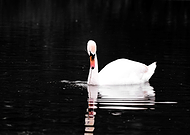 2019-09-13/c3a31e967a3bd9d7b343aada0e01ff3e_cc94338088e0e7f92f0ca9753666b69f