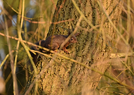 2019-09-15/1d65b917257edca60d8a050567030183_de376b53cb85ea220ce078b71fe6319c