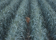 2019-09-15/7547c2968a35d0249fc495c3c94c15ec_efeabc95bbc622eea176e26dd2dc7394