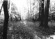 2019-09-15/a22694527eeb8780518112792e27ee79_f1db31abdea4586f5a4211ed6b43dce1