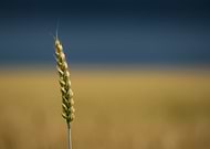 2019-09-16/1351182ec74f55ab47b68d68fd892bfe_32b49529846ec7c99120f21f4dac97e1