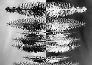 2019-09-16/81e70dd0eeaf05303a32b7d7d5b46cdd_56cc176722dc49f82621fa9711a9feeb