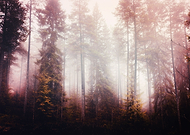 2019-09-16/c8f977a5e7832dd62f28cbe2e9f5377b_fcf21837e1285ad1129cfdf038dbf823