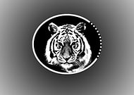 2019-09-16/ddefb9a47a78f98075d9240f8b8f47b2_2c173924b8a8ba29b515b45186efa954