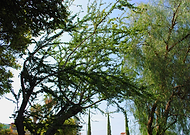 2019-09-17/4980c5d527a6fcce586407b9864db74c_0c0758dd0d240fdc98790a55de4a2981