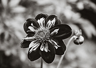 2019-09-17/92ad19ca52bd2552d06a3143238304f1_884ca692f08911f588332262c9c53c72