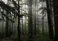 2019-09-17/9fec24def3f79aeb634817b2e6b08a06_1ec488af73702c72fe21e999a38e8655