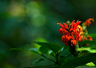 2019-09-18/1ceeede08819dc5a1457ffb873429924_626ee2e77c1dc1a350002a3d86c777d3