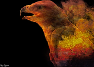 2019-09-18/9e284454bdc725fff69a2353dec397ef_39bc4e2aa74f3b271356d5d44de053ab