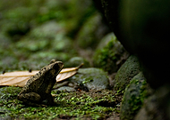 2019-09-19/35a308feffff37ec697b94146f97dc0a_c6cc1a48f2aecace5b299404066e7a85