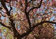 2019-09-20/546e1ad2e8f4806465ca9b68039b1788_0d3cf669e024b608ed233787c3a05c97