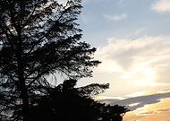 2019-09-20/614597df996f2310aa1f0886703058db_c225734f2718f81a0d70c8212ef44237