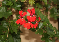 2019-09-20/a01735d920a882db534ac9e02e8dfbeb_5b99367f563e3a7715afba1867177c72