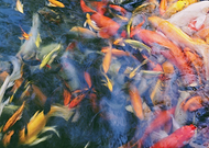 2019-09-21/1057f36f9c9b7a4b7cab5c2ad73eb886_96034d2cb90ad4e08b395677be88e5b2