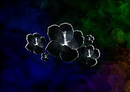 2019-09-21/addd71110557601d26b6ee35961d71e2_fb25f5876484d46cb7ea9f8c01111ba8