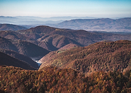 2019-09-22/1dc6f7f330616740c036d2704ea0af5d_473bc47b8bc2a7b6463a3e0620c25785