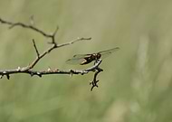 2019-09-22/4dcba160b71ceb893aa5e1f597c1ca12_8a13b1d6d66b43d07679f00bee91fbc9