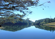 2019-09-22/749d6054e3be63360671ab7bcd5ca2cf_651b09fdbe1390bef827c593a2551f55