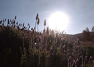 2019-09-22/c57a8267a68d6112e11e03b0bf0c3c59_3af9cee10e369af320b3a37f4f9f9c81