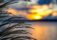 2019-09-23/0e0d433ca8ce62e831149151b90b5c40_c7625e50f6200c2d9a86444a2bacb1b4