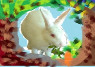 2019-09-23/1d8653891d98d80f47b7c0adef57ca76_03ea047d1af10b4e11c08a062af5ac65